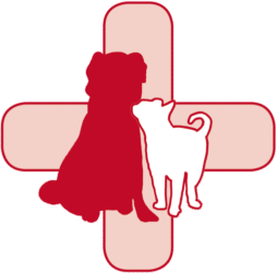 Dierenartspraktijk Marknesse